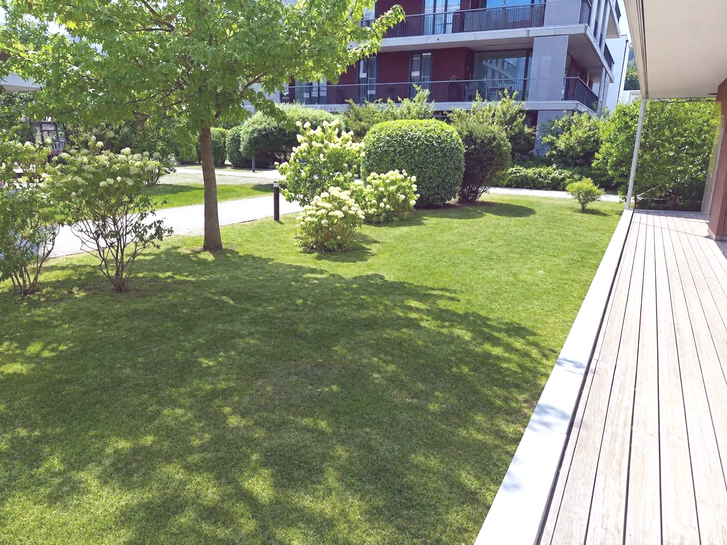 Rasenfläche mit Baumbestand am Terrassenrand